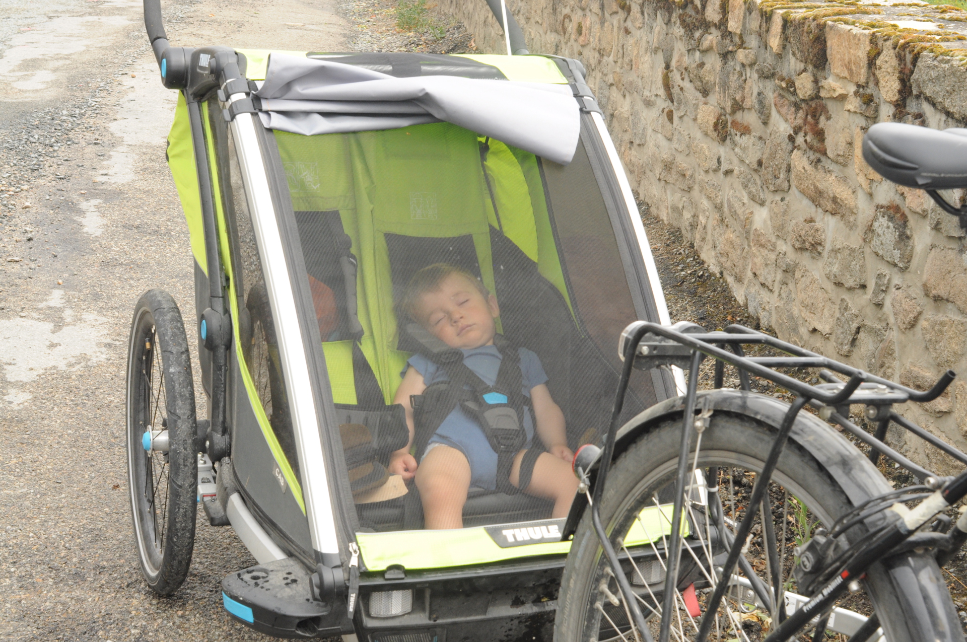 Siest enfant dans remorque vélo Thule