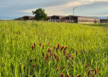 Ferme des Délices Foréziens