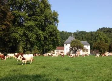 En pleine nature, bordé par les prés et la forêt