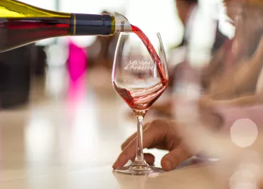 Néovinum: Tasting cellar / Ardèche Wine Shop