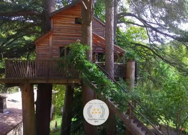 Cabane Au Fil de Soi