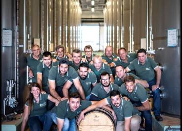 Les vignerons, plus fort en coop