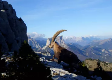 Point d'information touristique et randos de Chichilianne