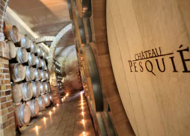 Guided visit of the cellars and tasting at Château Pesquié