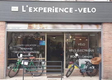 Station Bee's - sale & rental of electric bikes