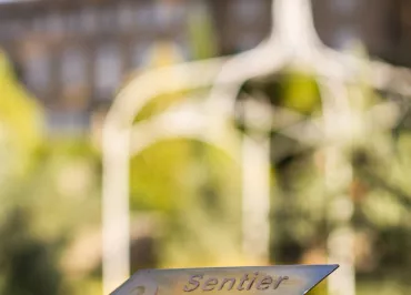 Path in the vineyards of Château Pesquié