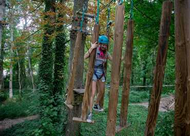 Tree climbing - Vertigo Parc