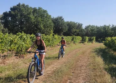 VELŒnologie Côte du Rhône at Saint-Martin-d'Ardèche