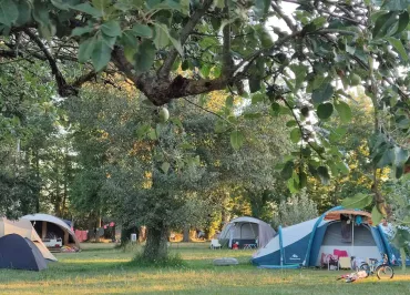 Camping Domaine les Gandins