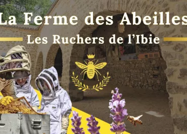 The bees Farm