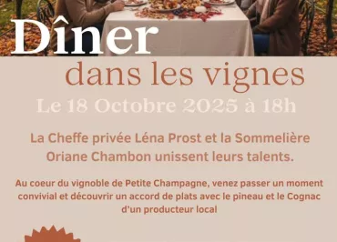 Vignobles en scène à la Vallée du Né