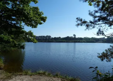 BSN AVENTURE - Location de VTT électriques - Etang de la Vallée