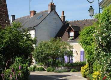 Village de Chédigny "Jardin Remarquable" et fleur d'or