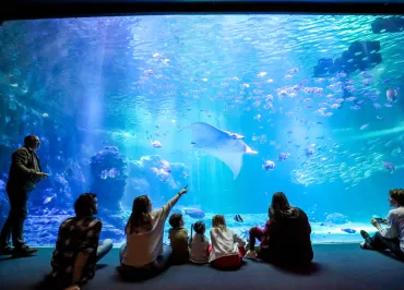 Nausicaá - Centre national de la Mer