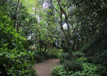 Aire naturelle de camping Les Tilleuls