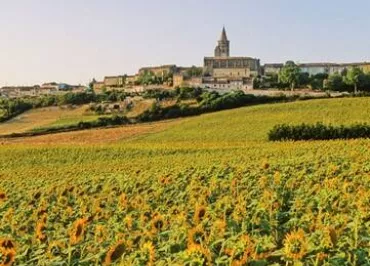 BUREAU D'INFORMATION TOURISTIQUE DE SAINT FELIX LAURAGAIS