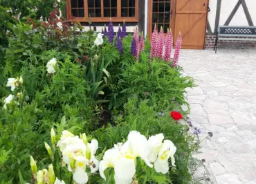 Gîte de La Ferme Bernard