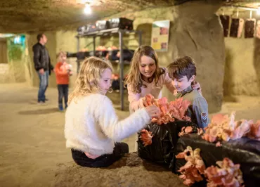 C. Gagneux / Pixim Communication