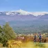Tour du Ventoux - Radrundweg