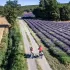 Rund um den Luberon-Radweg Rund um den Luberon-Radweg