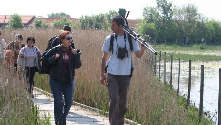 Marais du vigueirat The marshes of the Vigueirat