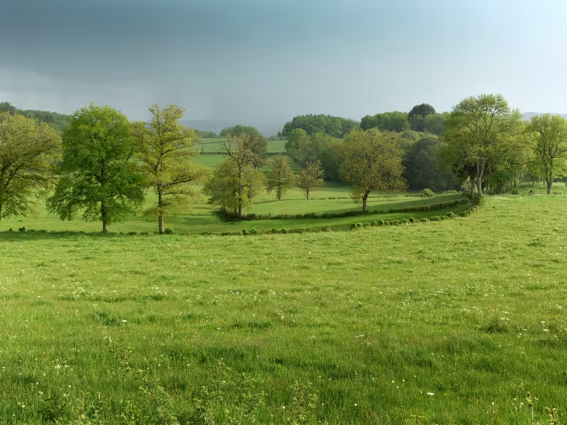 Campagne creusoise sous un ciel orageux