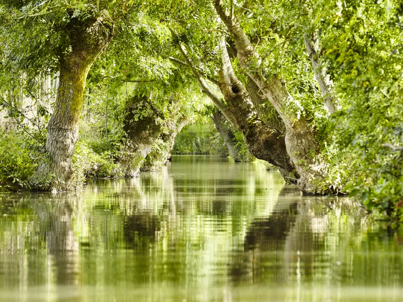 Le Marais poitevin, le marais mouillé