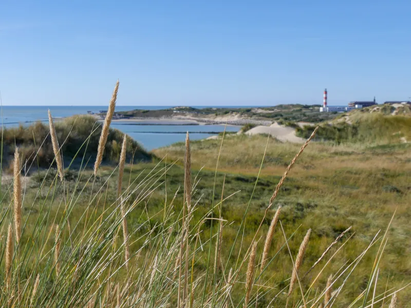 Baie d'Authie à vélo
