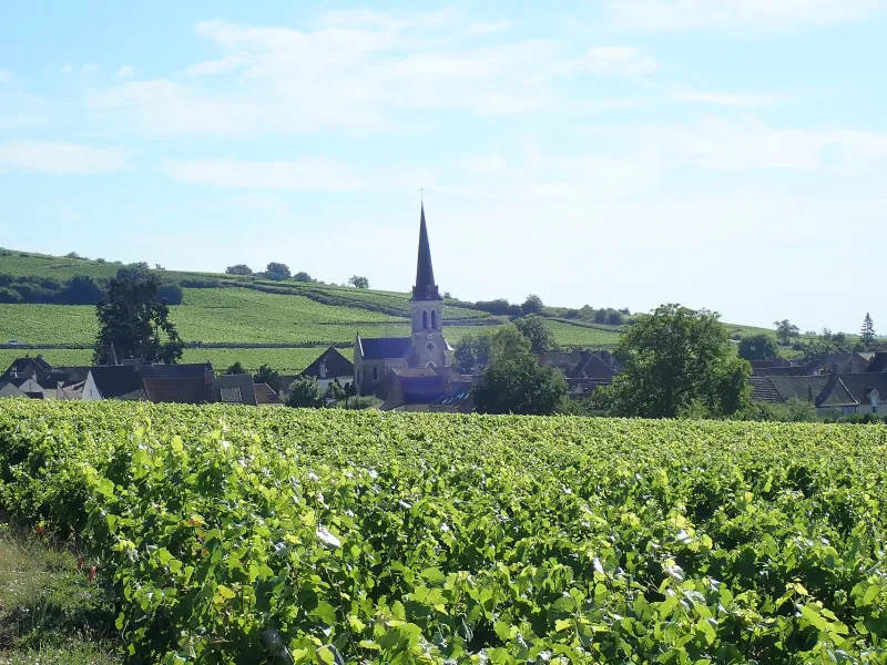 Vue du clocher de Santenay