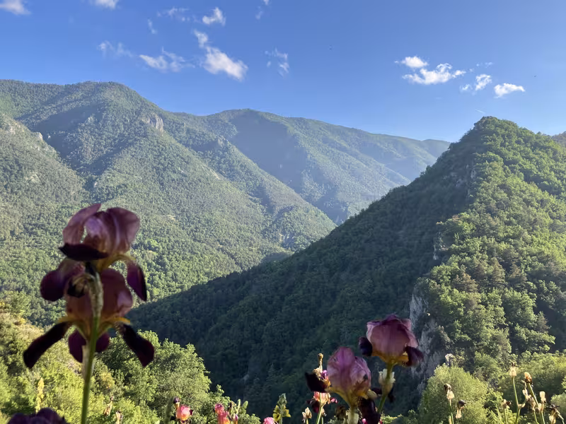 Vue depuis Le Mas