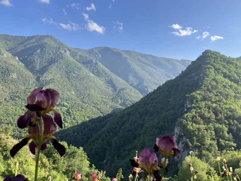 Vue depuis Le Mas 