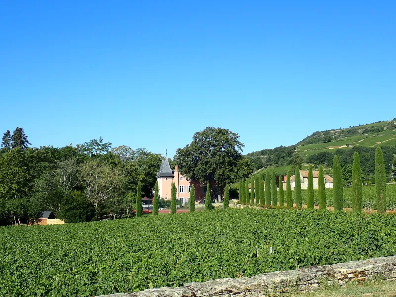Château de la Crée à Santenay