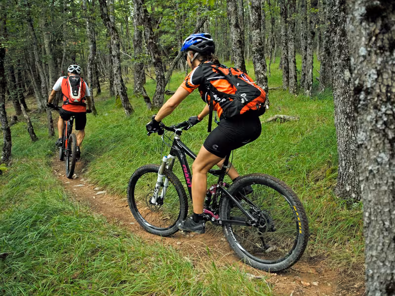 VTT en sous-bois sur la Grande Traversée L'Alpes Provence
