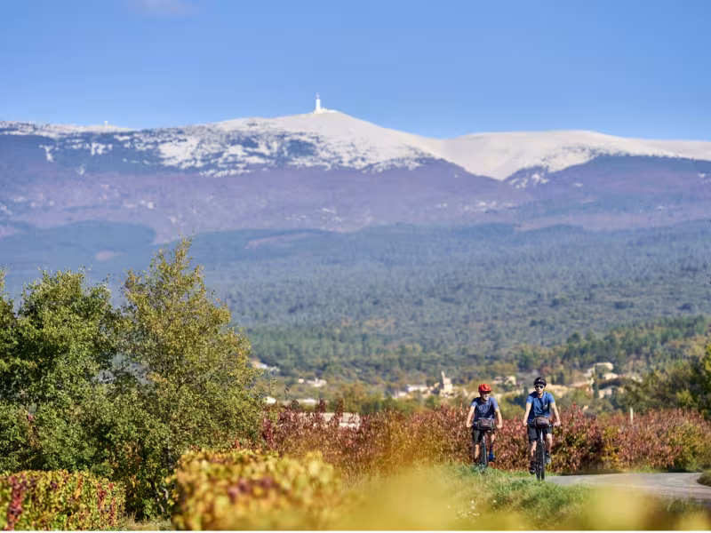 Au pied du Ventoux