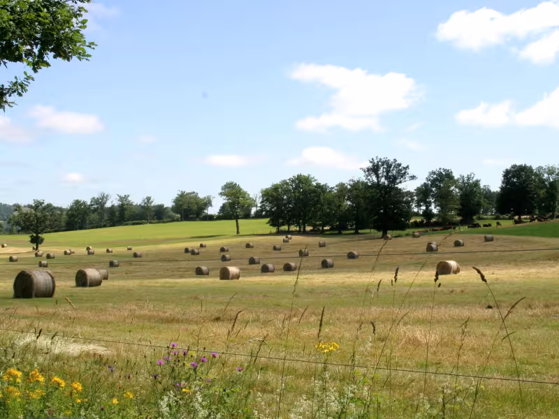 La campagne vers Boisset