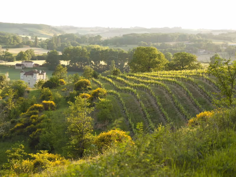 Domaine de Herrebouc