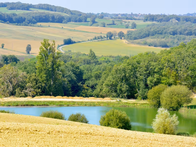 Paysage de la V82