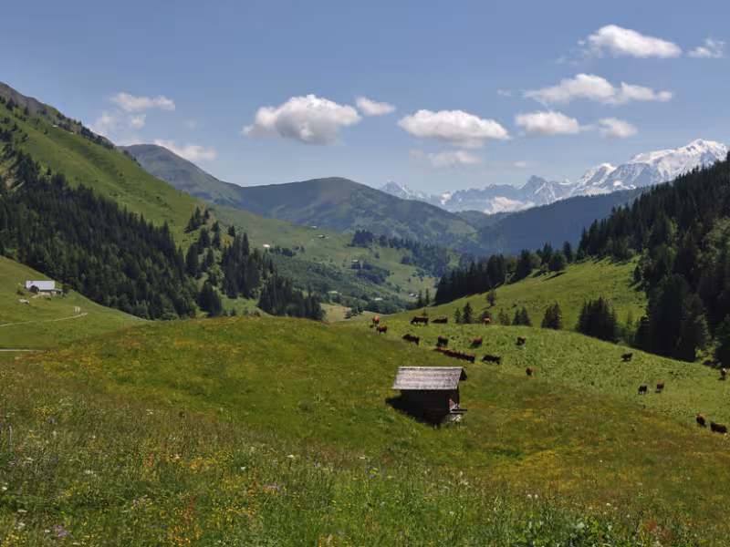 Descente vers le Val d'Arly depuis le Col des Aravis