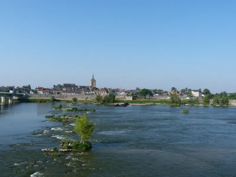 Jargeau et la Loire