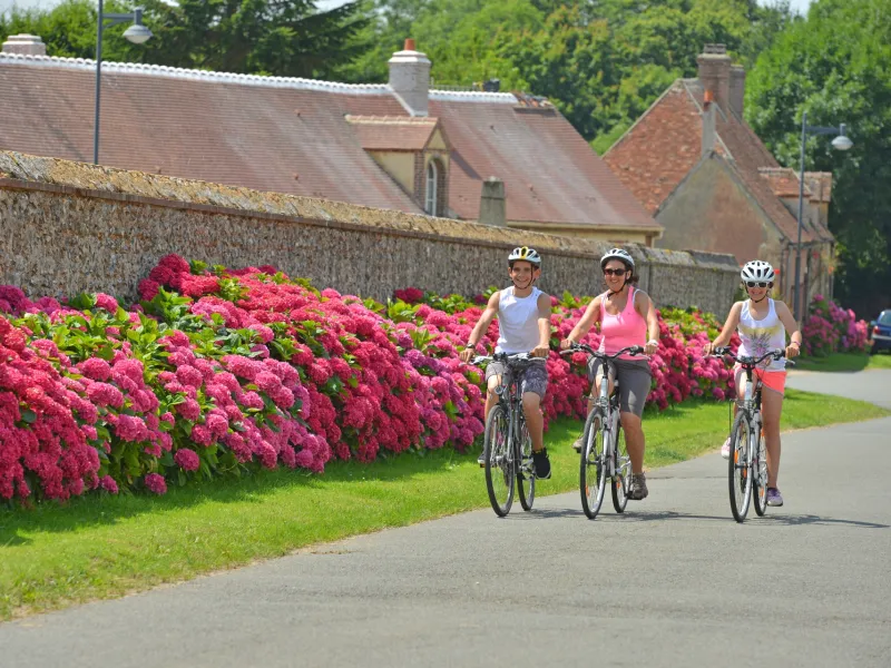 Perruchet et ses migrateurs -3