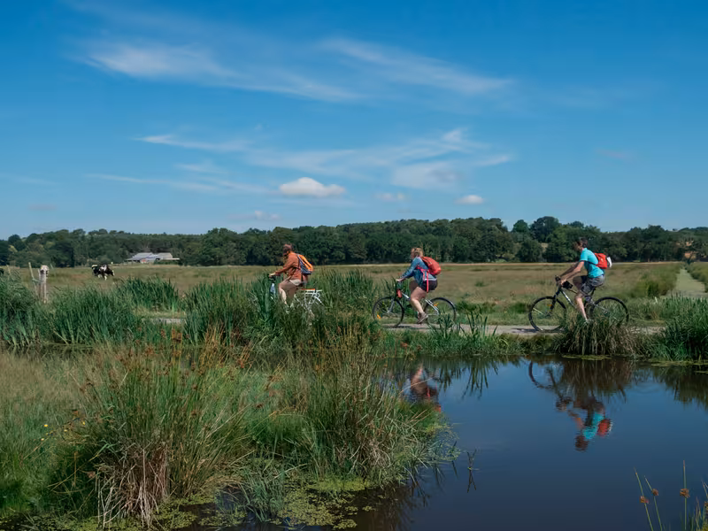 À vélo dans les Marais de Loire