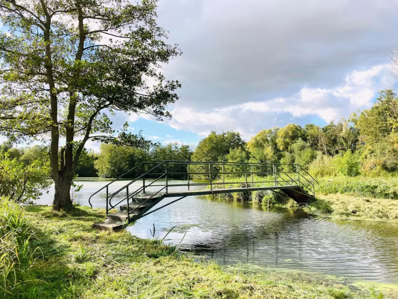 Marais de Saint-Simon