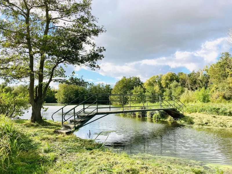 Marais de Saint-Simon