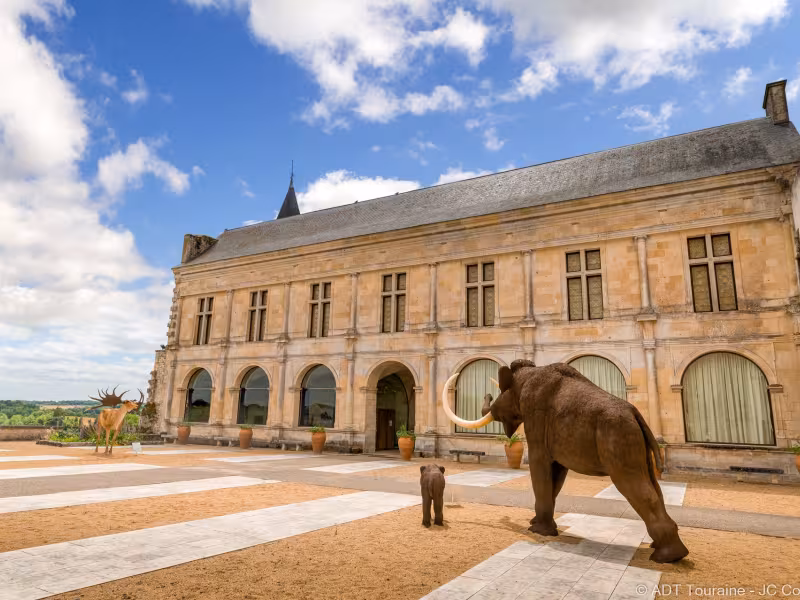 Musée Grand Pressigny