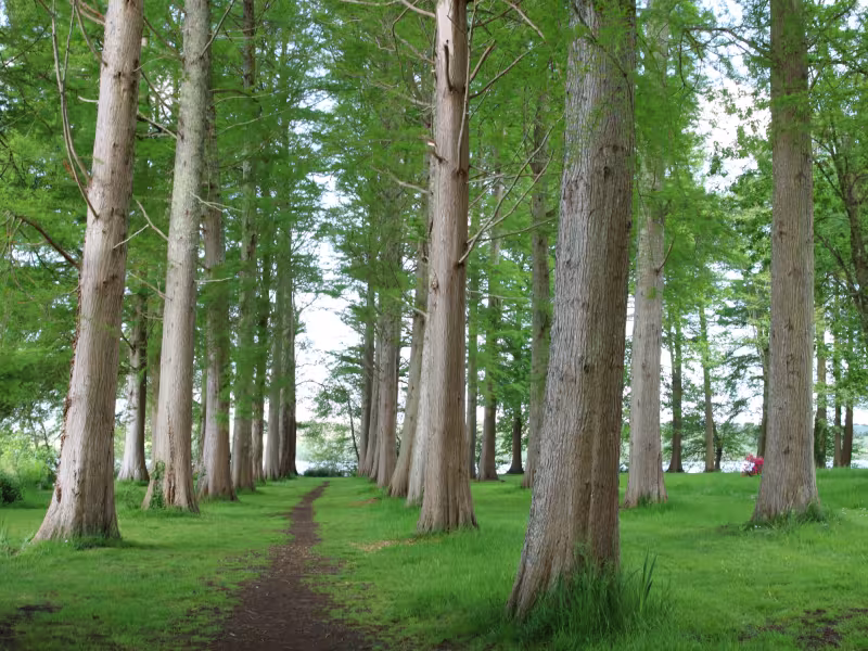 Parc de la Pointe des Vergnes
