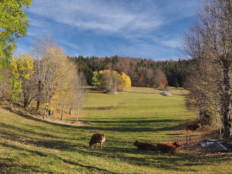 Paysage du Vercors des 4 Montagnes autour de Villard-de-Lans