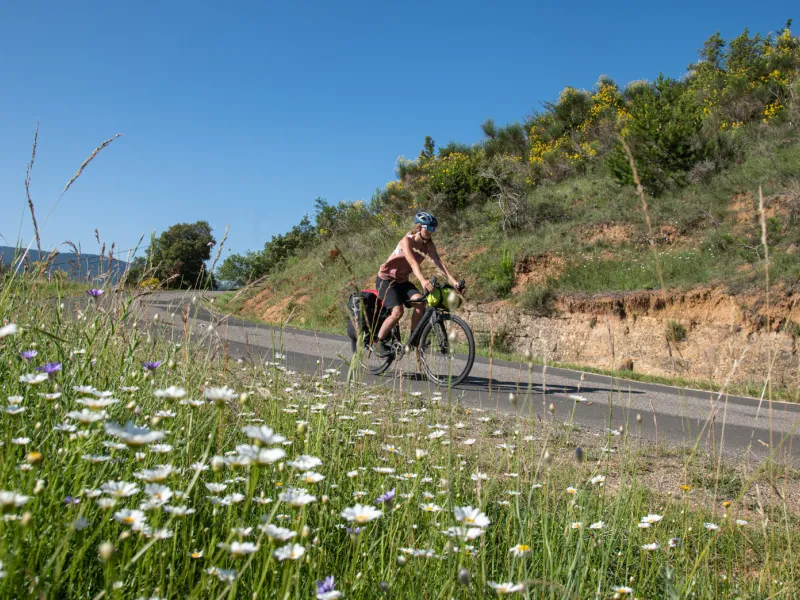 À vélo vers Rennes-le-Château