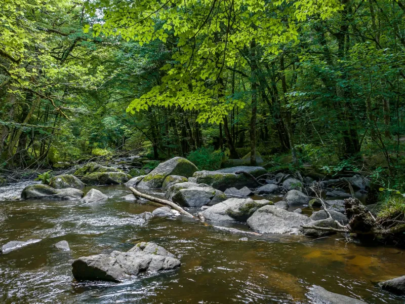 Saut du Chalard - PNR