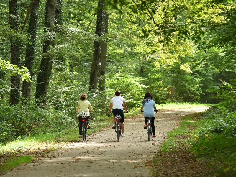 La Boucle en Forêt d’Orléans 