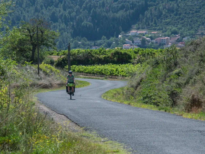 Entre montagnes et vignobles à Tautavel